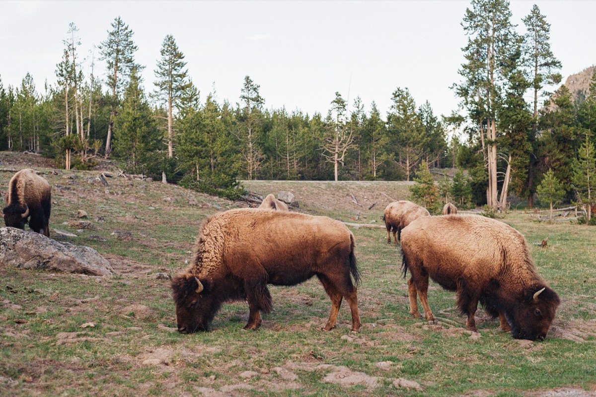 Film photograph 000016750021
