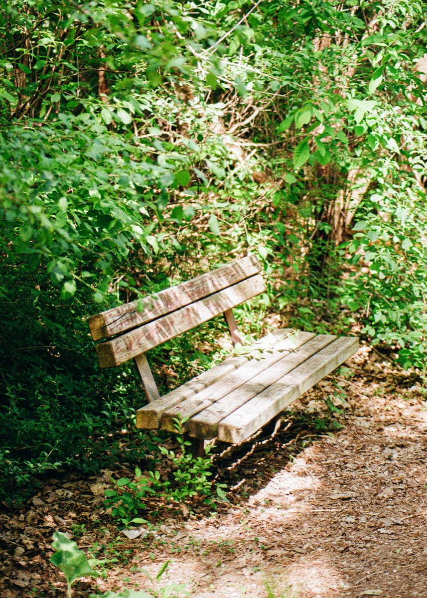 Film photograph 000018960016