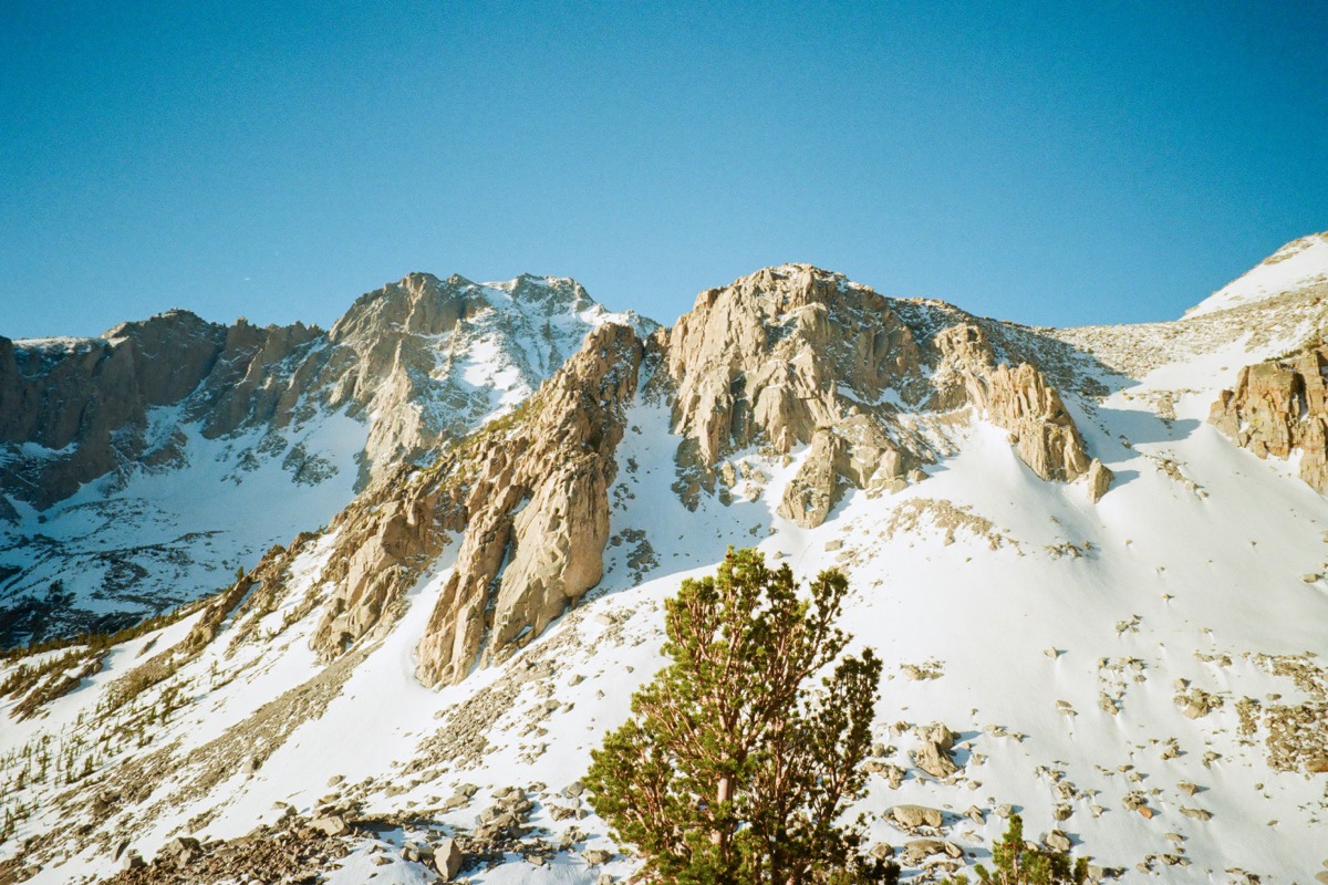 Film photograph 006277310021