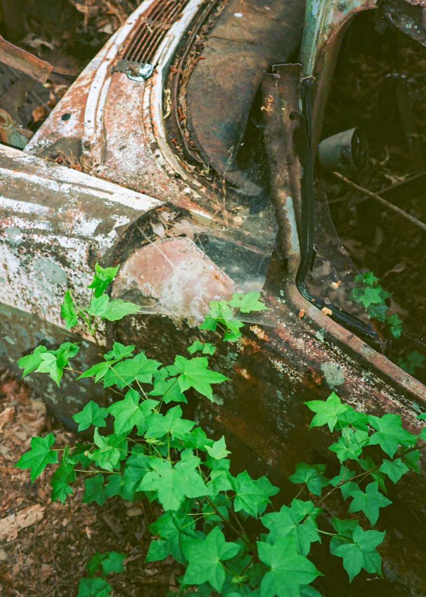 Film photograph 006307630016