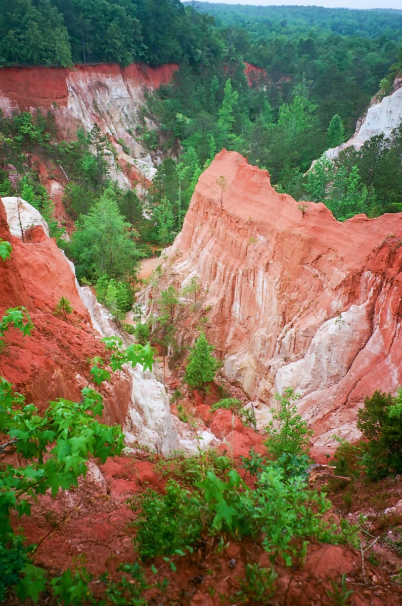 Film photograph 006307630024