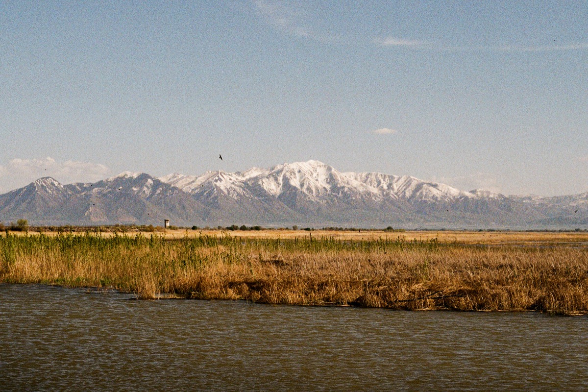 Film photograph GT