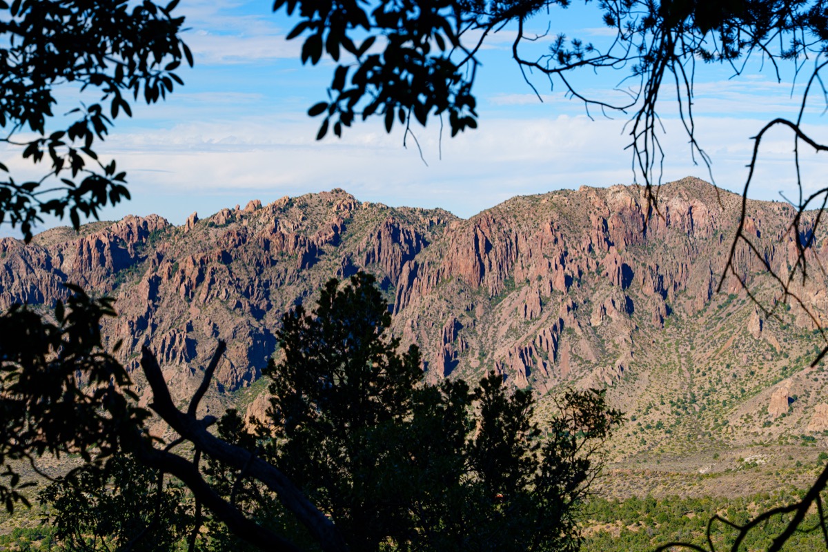 Big Bend NP collection cover