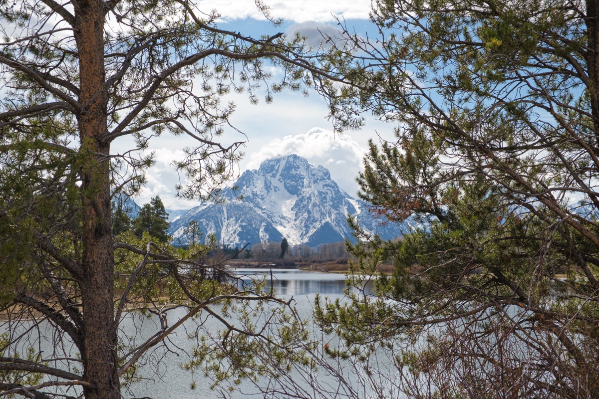 Grand Teton photograph DSCF0481