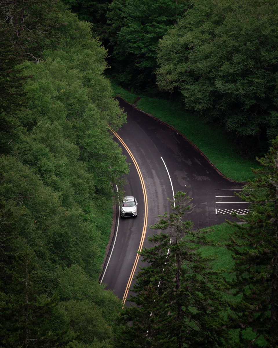 Great Smoky Mountains photograph DSC00726