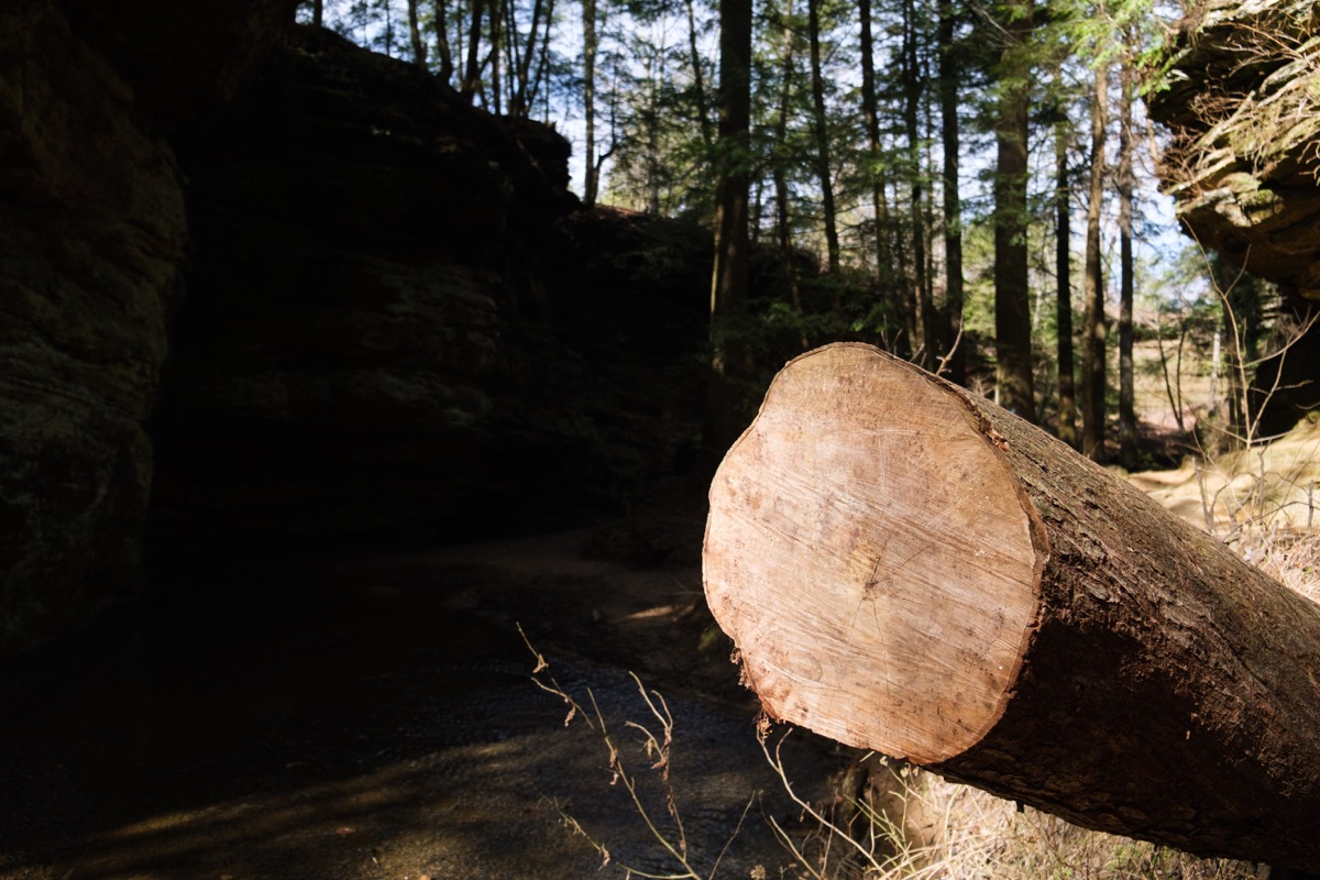Hocking Hills State Park photograph DSCF6572