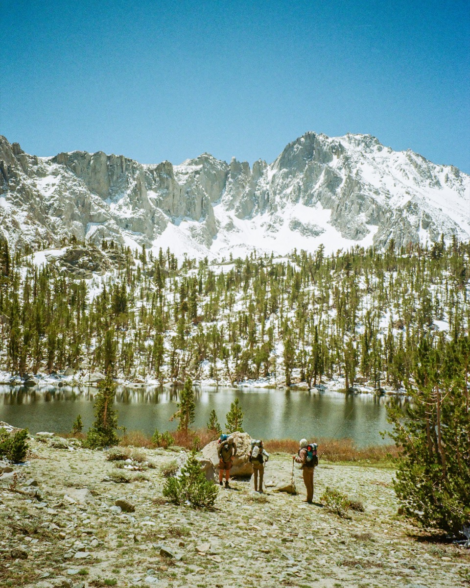 Inyo National Forest collection cover