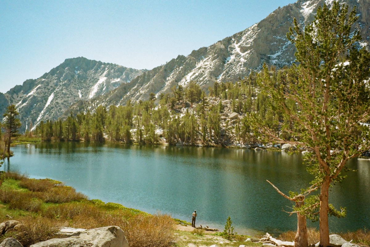 Inyo National Forest photograph 006277310026