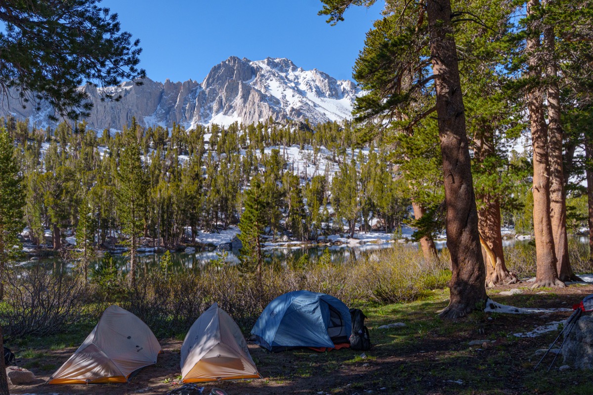 Inyo National Forest photograph DSC07769