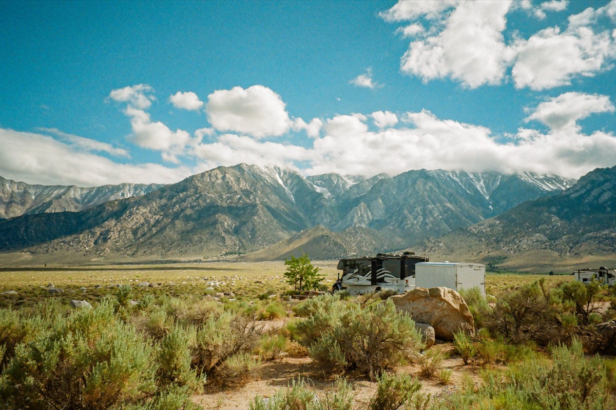Lone Pine collection cover