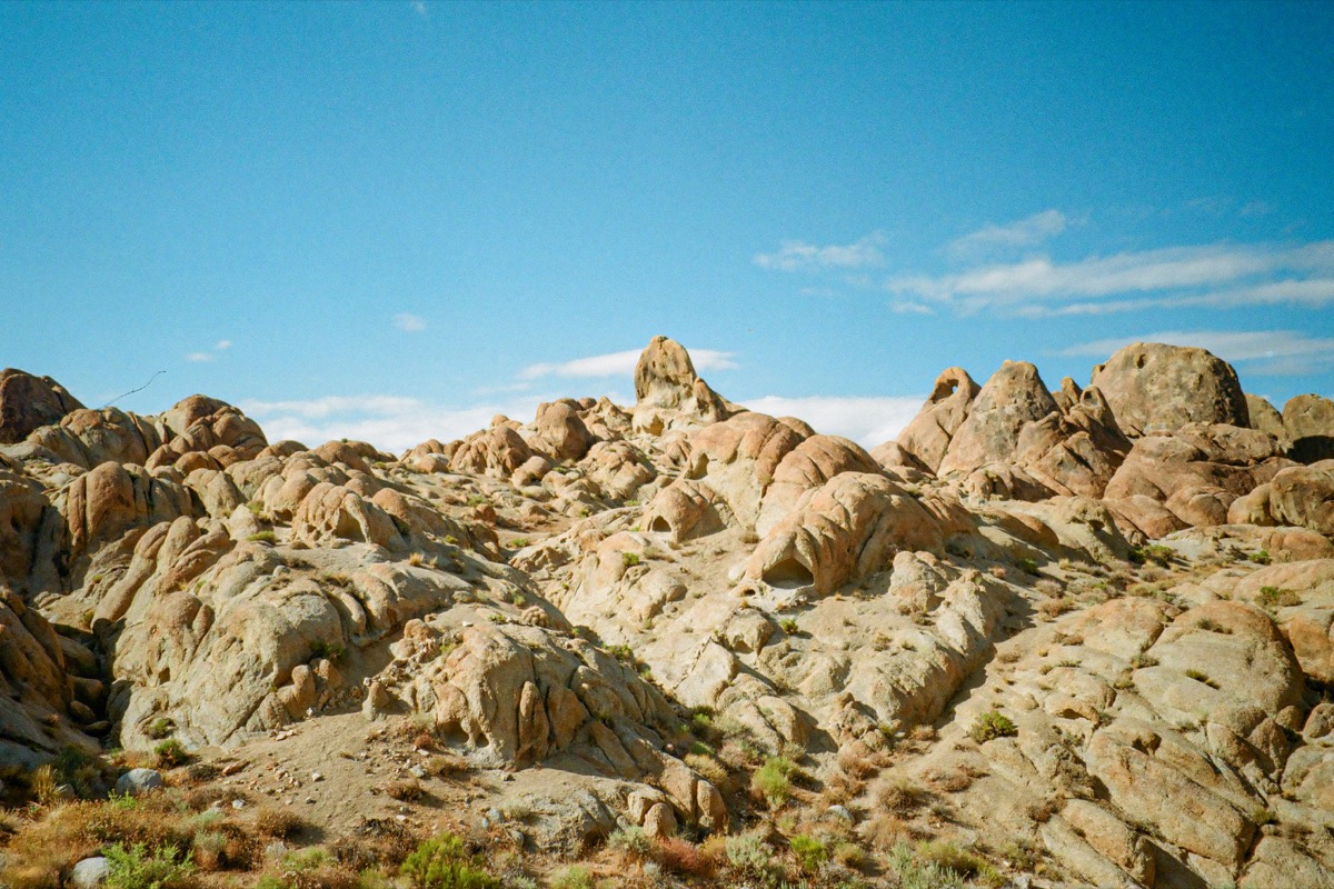 Lone Pine photograph 006277320027