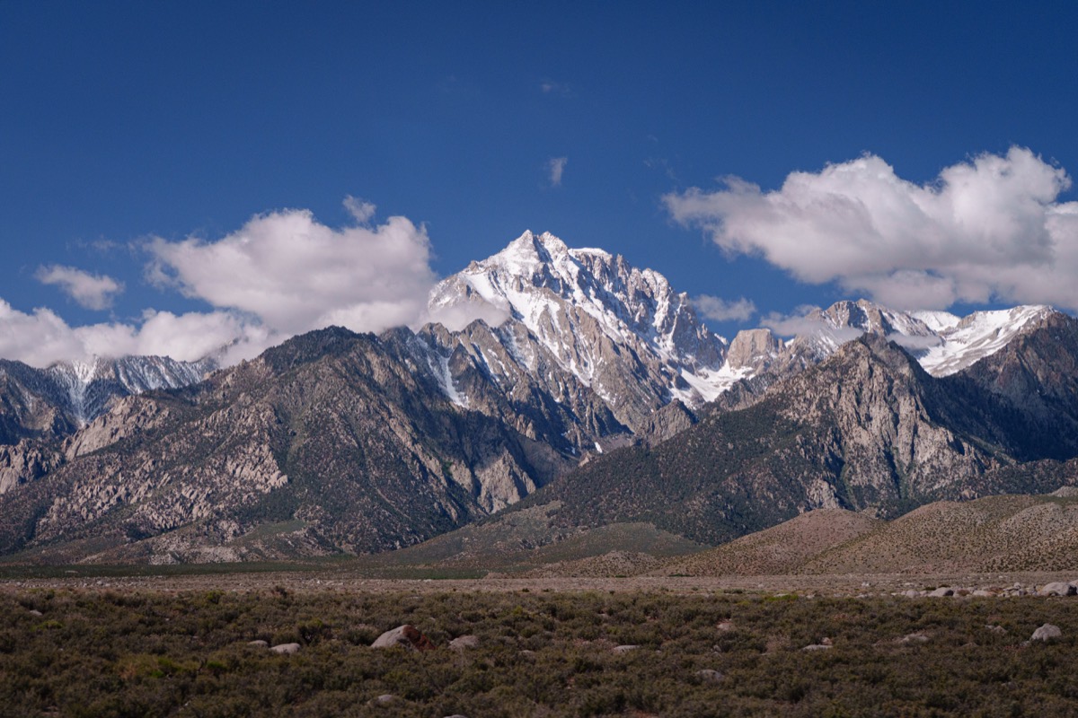 Lone Pine photograph DSC07485