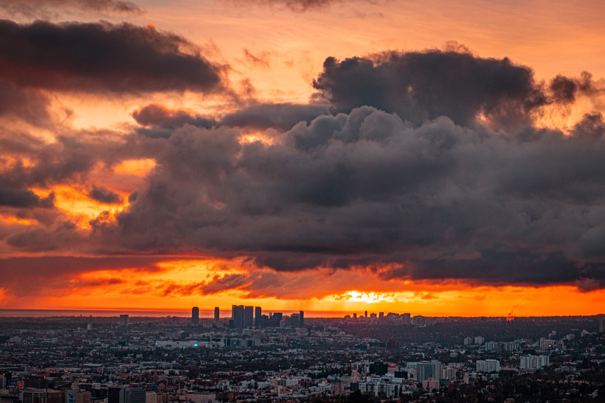 Los Angles collection cover