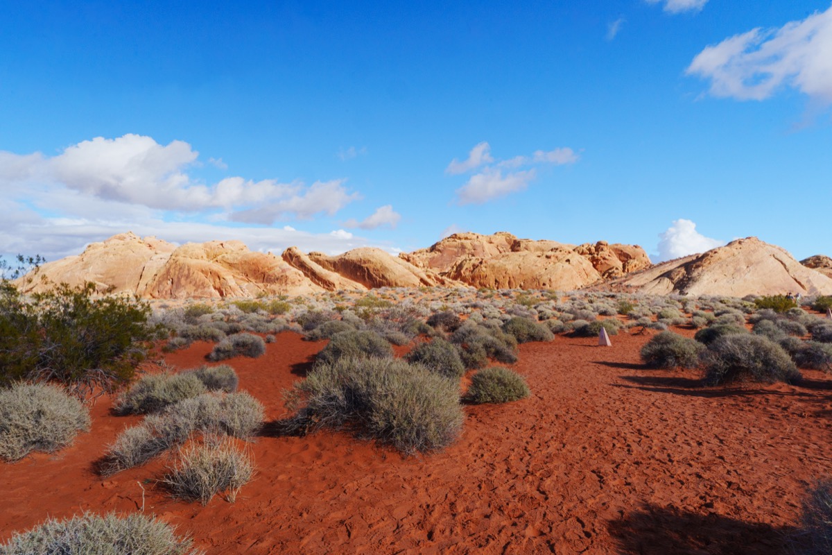 Valley of Fire photograph DSC06226