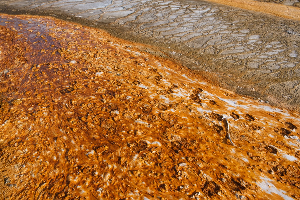 Yellow Stone photograph DSCF9760